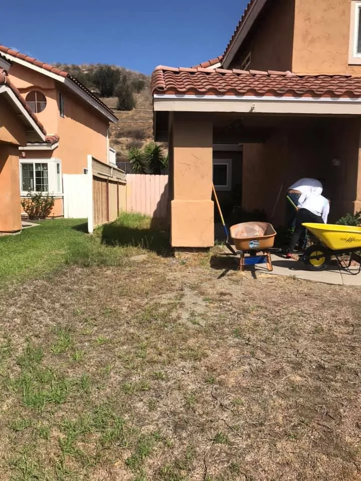 Overgrown patchy yard before landscape remodel in Lakeside CA