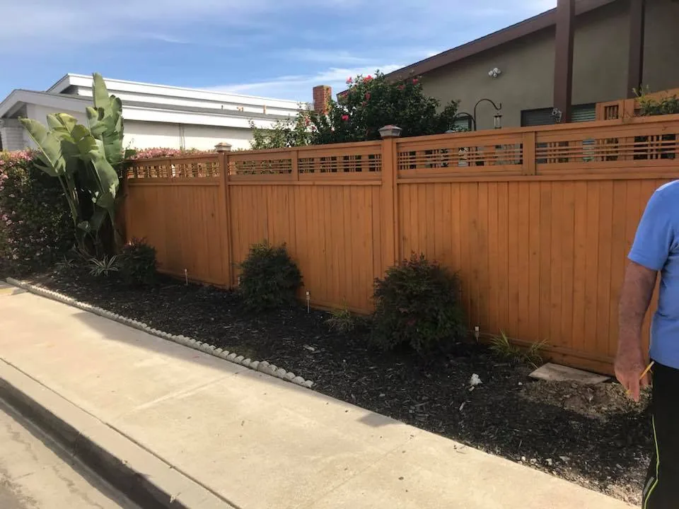 Overgrown perimeter yard area with weathered boundary line before cleanup and landscaping