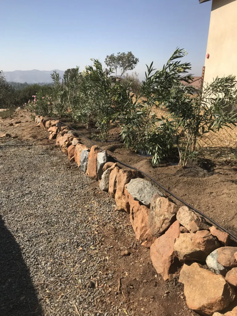 Natural rock boulder garden border with privacy hedge planting in East County